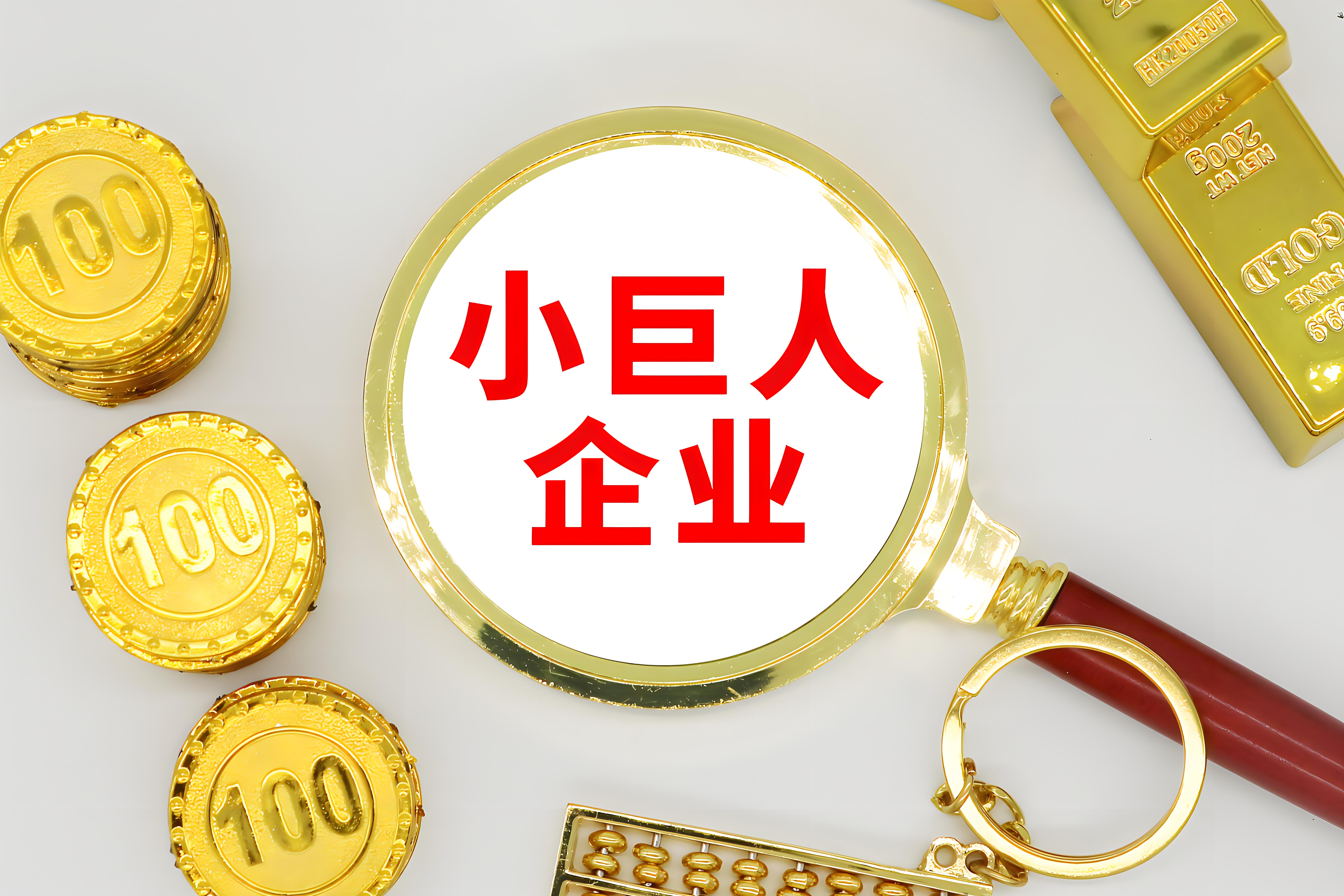 小(xiǎo)巨人企業：大夢想，大未來